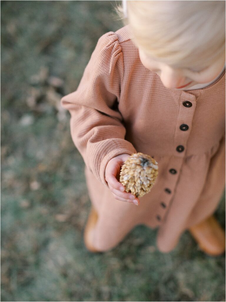 Family photos in Ames, Iowa